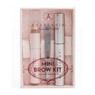 Anastasia Mini Brow Kit