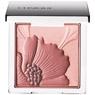 Clinique Fresh Bloom Allover Colour