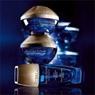 Guerlain Success Future