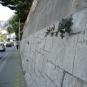 DSC01182.JPG