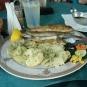 DSC01508.JPG
