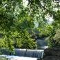 DSC01516.JPG
