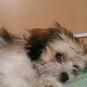 P1010003.JPG