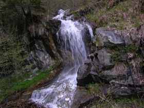 DSCN0198.JPG