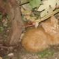 DSC00753.JPG