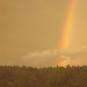 DSC00783.JPG