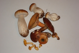DSC00896.JPG