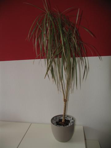 RD_Gasper_020__Small_ RD_Gasper_020__Small_