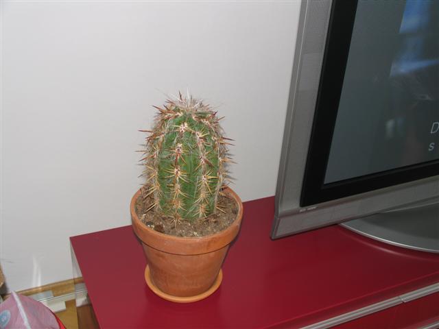 RD_Gasper_035__Small_ RD_Gasper_035__Small_