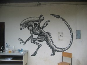 7 7