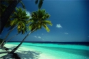 125-tropical_beach-500.jpg
