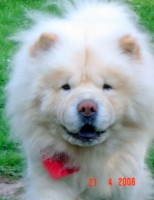 DSC00101.JPG