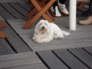 DSC00101.jpg
