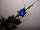 DSC01126.JPG