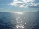 DSC03600.JPG