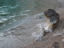 DSC03626.JPG