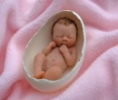 baby1.jpg