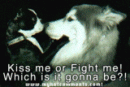 e4094bd0f8637339cb85649bd515feca.gif