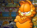 garfield2.jpg
