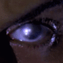 oko.gif