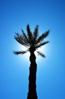 palma-IMG_0982.jpg