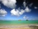paradise.jpg