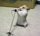 singing_hamster.jpg