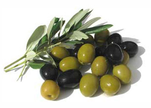 plodovi oljke - olive